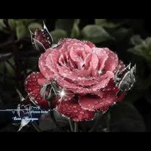 Meet your Posher, Lupita